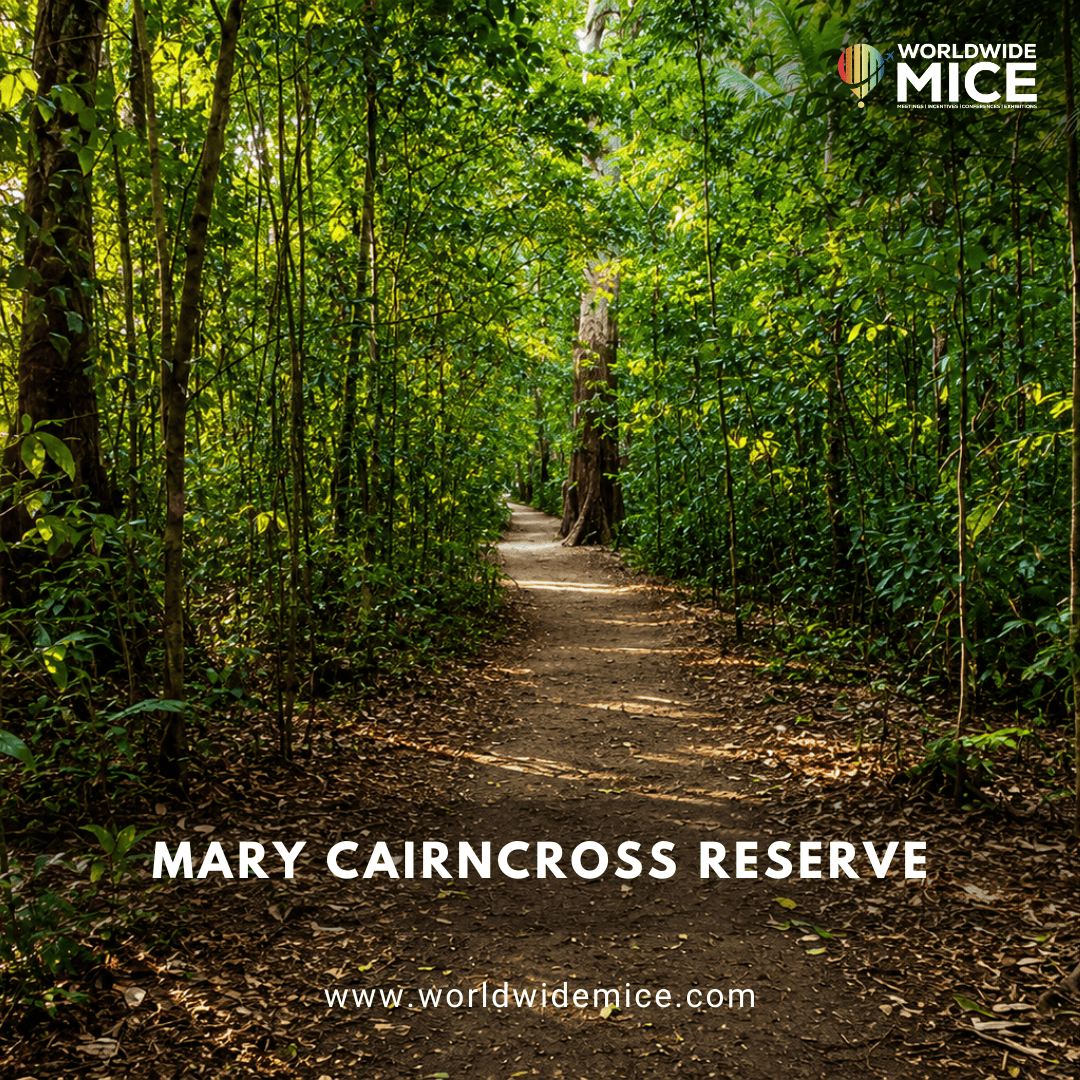 Mary Cairncross Reserve